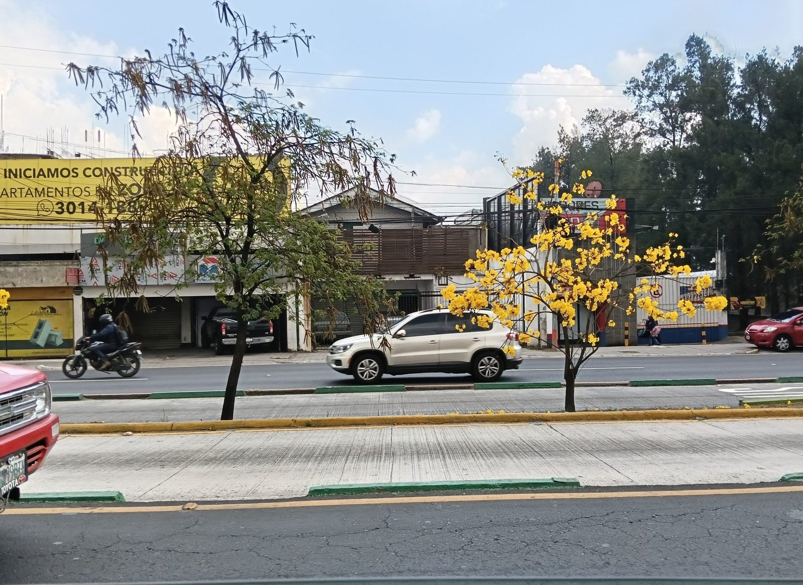 Todo florece a su tiempo